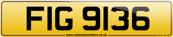 FIG 9136
