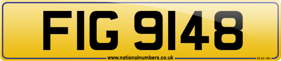FIG 9148