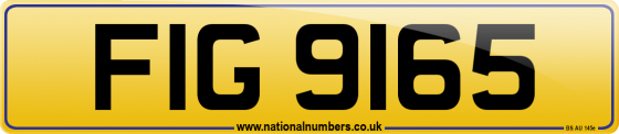 FIG 9165