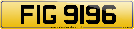 FIG 9196