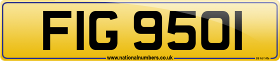 FIG 9501