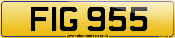FIG 955
