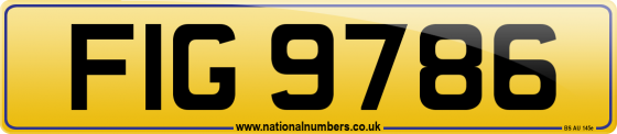 FIG 9786