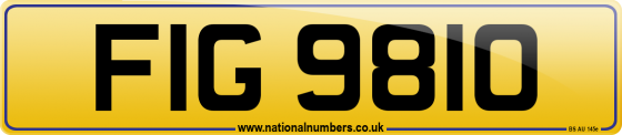 FIG 9810