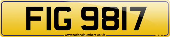 FIG 9817