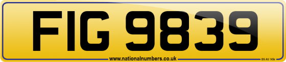 FIG 9839