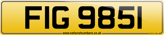 FIG 9851