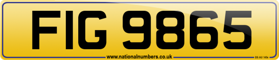 FIG 9865