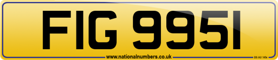 FIG 9951
