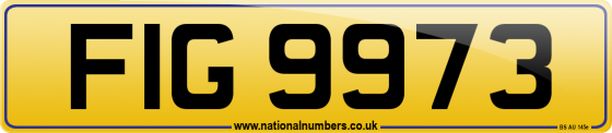 FIG 9973