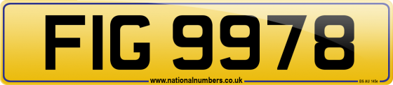 FIG 9978