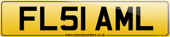 FL51 AML