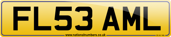 FL53 AML