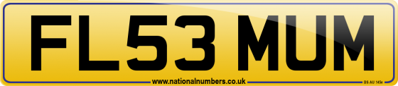 FL53 MUM