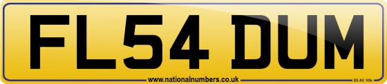 FL54 DUM