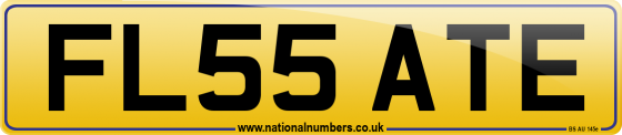 FL55 ATE