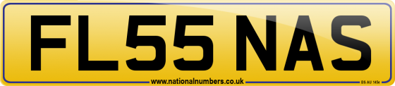 FL55 NAS