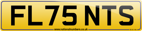 FL75 NTS