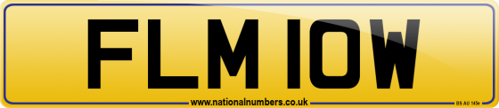 FLM 10W