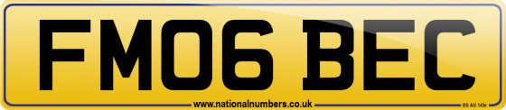 FM06 BEC