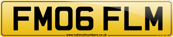 FM06 FLM
