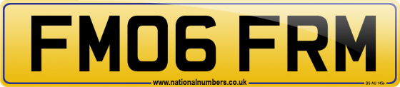 FM06 FRM