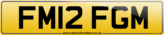 FM12 FGM