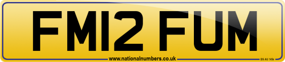 FM12 FUM
