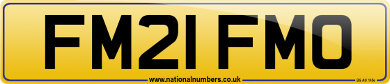 FM21 FMO