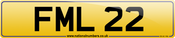 FML 22