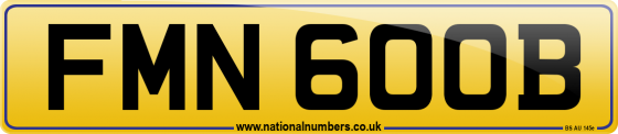 FMN 600B
