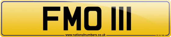 FMO 111