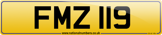 FMZ 119