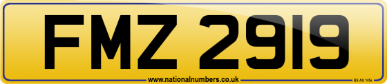 FMZ 2919
