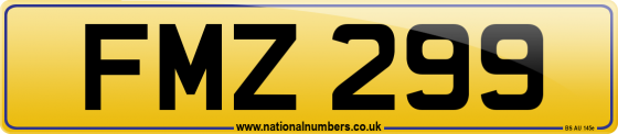 FMZ 299