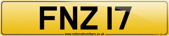FNZ 17