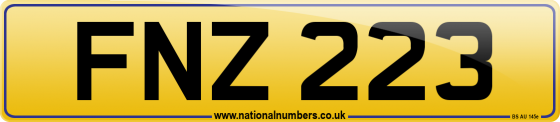 FNZ 223
