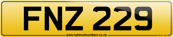 FNZ 229