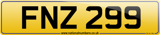 FNZ 299