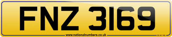 FNZ 3169