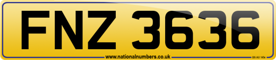 FNZ 3636