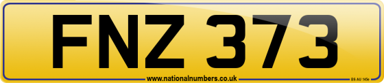 FNZ 373