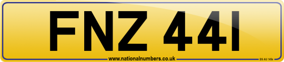 FNZ 441