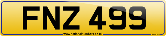 FNZ 499