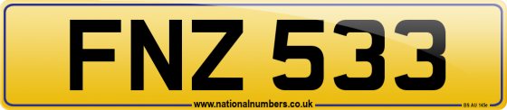 FNZ 533
