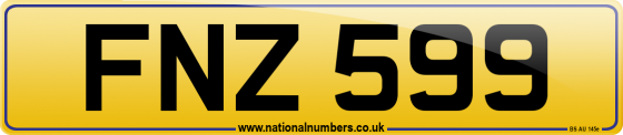 FNZ 599