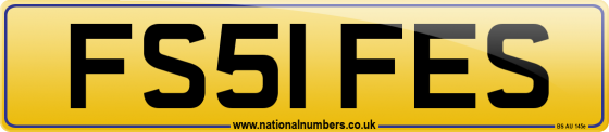 FS51 FES