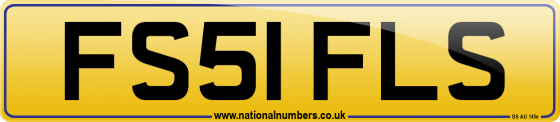 FS51 FLS