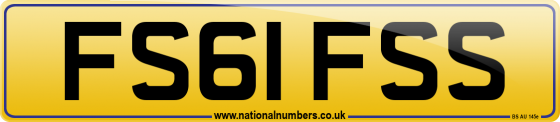 FS61 FSS