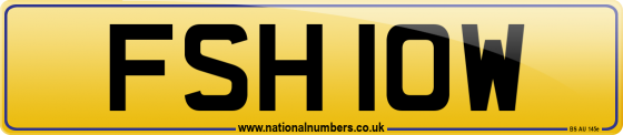 FSH 10W